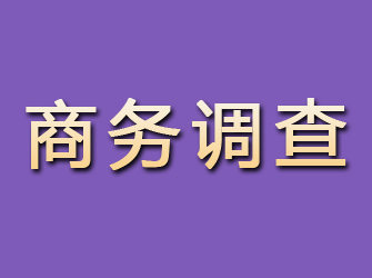 湘桥商务调查